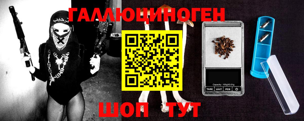 Галлюциногенные грибы Cubensis Ишим